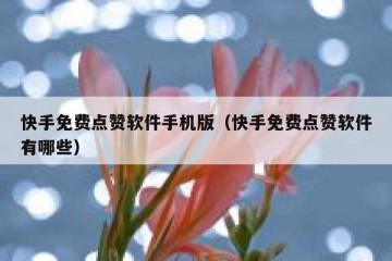 快手免费点赞软件手机版(快手免费点赞软件有哪些)