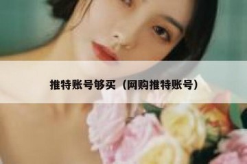 推特账号够买（网购推特账号）