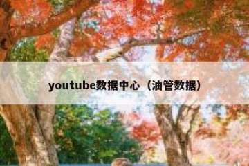 youtube数据中心（油管数据）