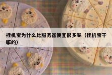 挂机宝为什么比服务器便宜很多呢（挂机宝干嘛的）
