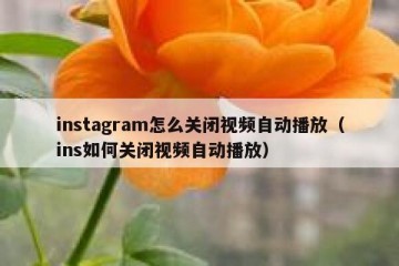 instagram怎么关闭视频自动播放（ins如何关闭视频自动播放）