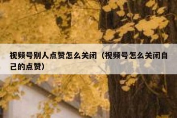 视频号别人点赞怎么关闭（视频号怎么关闭自己的点赞）