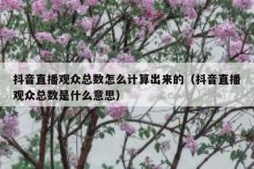 抖音直播观众总数怎么计算出来的（抖音直播观众总数是什么意思）
