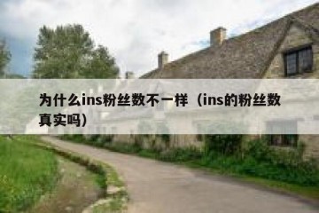 为什么ins粉丝数不一样（ins的粉丝数真实吗）
