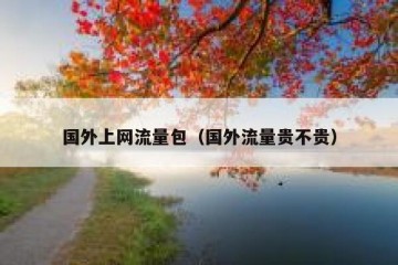国外上网流量包（国外流量贵不贵）