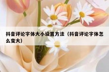 抖音评论字体大小设置方法（抖音评论字体怎么变大）