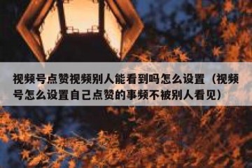 视频号点赞视频别人能看到吗怎么设置（视频号怎么设置自己点赞的事频不被别人看见）