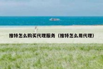 推特怎么购买代理服务（推特怎么用代理）