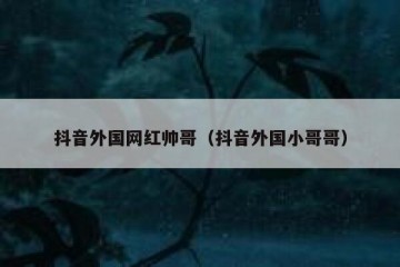 抖音外国网红帅哥（抖音外国小哥哥）