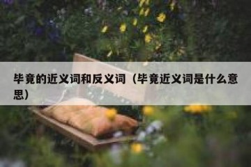 毕竟的近义词和反义词（毕竟近义词是什么意思）