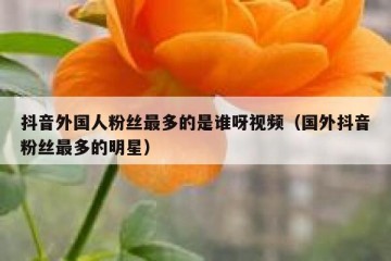抖音外国人粉丝最多的是谁呀视频（国外抖音粉丝最多的明星）