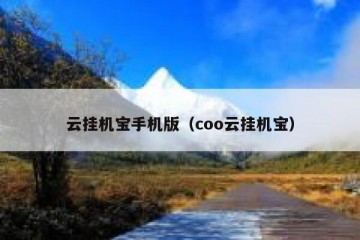 云挂机宝手机版（coo云挂机宝）