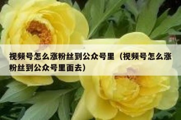 视频号怎么涨粉丝到公众号里（视频号怎么涨粉丝到公众号里面去）