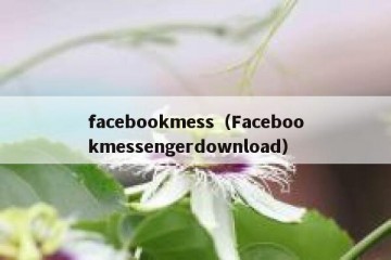 facebookmess（Facebookmessengerdownload）