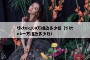 tiktok100万播放多少钱（tiktok一万播放多少钱）