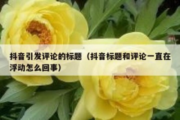 抖音引发评论的标题（抖音标题和评论一直在浮动怎么回事）