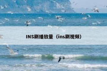 INS刷播放量（ins刷视频）
