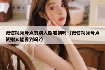 微信视频号点赞别人能看到吗（微信视频号点赞别人能看到吗?）