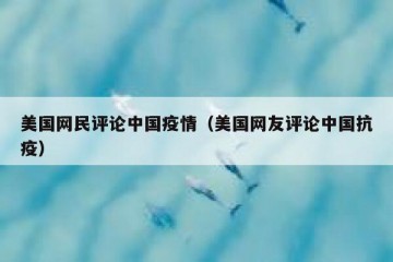 美国网民评论中国疫情（美国网友评论中国抗疫）