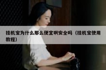 挂机宝为什么那么便宜啊安全吗（挂机宝使用教程）