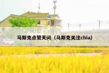 马斯克点赞天问（马斯克关注chia）