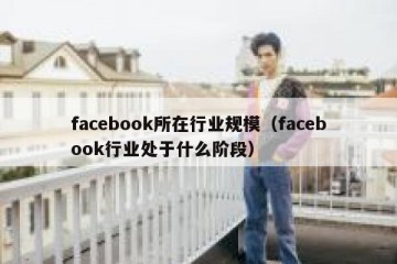 facebook所在行业规模（facebook行业处于什么阶段）