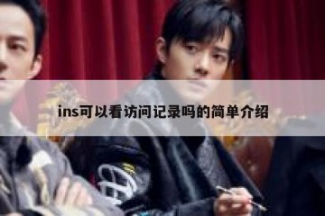 ins可以看访问记录吗的简单介绍