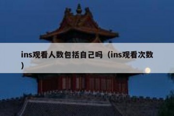 ins观看人数包括自己吗（ins观看次数）