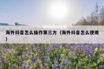 海外抖音怎么操作第三方（海外抖音怎么使用）