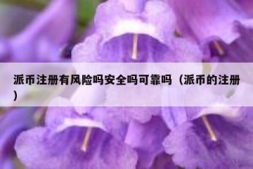 派币注册有风险吗安全吗可靠吗（派币的注册）