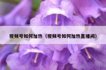 视频号如何加热（视频号如何加热直播间）