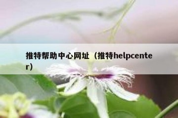 推特帮助中心网址（推特helpcenter）
