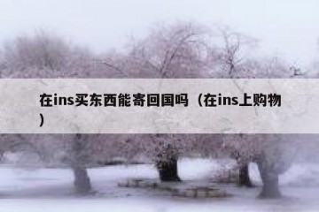 在ins买东西能寄回国吗（在ins上购物）