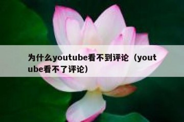 为什么youtube看不到评论（youtube看不了评论）