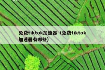 免费tiktok加速器（免费tiktok加速器有哪些）