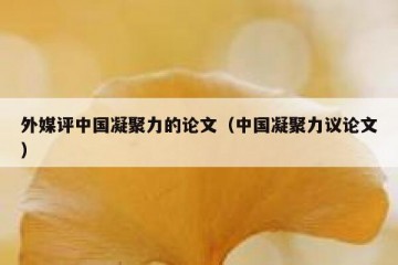 外媒评中国凝聚力的论文（中国凝聚力议论文）