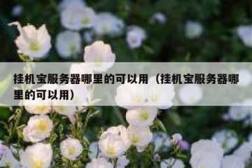 挂机宝服务器哪里的可以用（挂机宝服务器哪里的可以用）