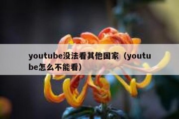 youtube没法看其他国家（youtube怎么不能看）