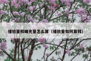 播放量和曝光量怎么算（播放量如何算钱）