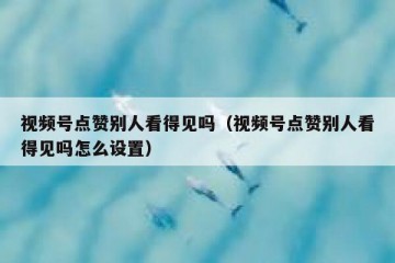 视频号点赞别人看得见吗（视频号点赞别人看得见吗怎么设置）