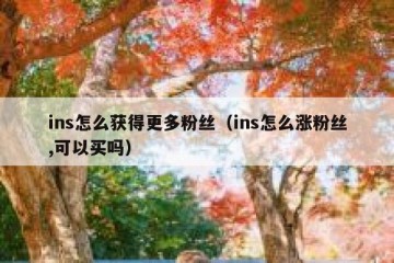 ins怎么获得更多粉丝（ins怎么涨粉丝,可以买吗）