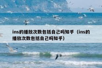 ins的播放次数包括自己吗知乎（ins的播放次数包括自己吗知乎）