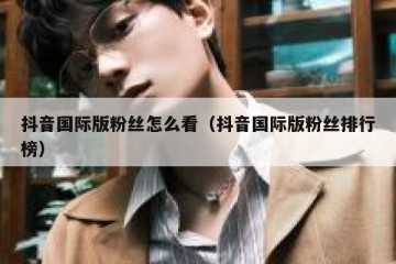 抖音国际版粉丝怎么看（抖音国际版粉丝排行榜）