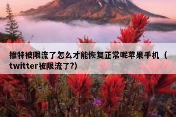 推特被限流了怎么才能恢复正常呢苹果手机（twitter被限流了?）