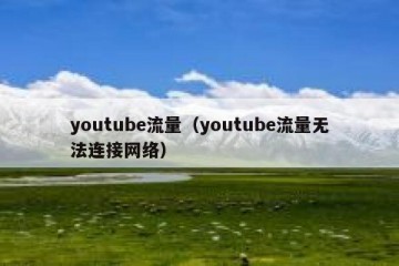 youtube流量（youtube流量无法连接网络）
