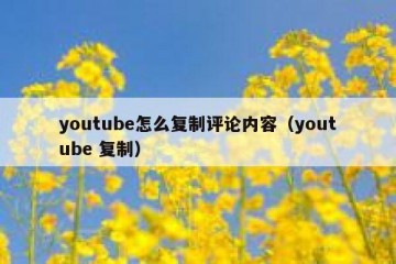 youtube怎么复制评论内容（youtube 复制）