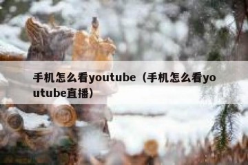 手机怎么看youtube（手机怎么看youtube直播）