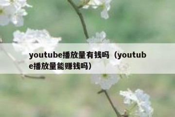 youtube播放量有钱吗（youtube播放量能赚钱吗）
