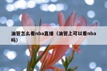 油管怎么看nba直播（油管上可以看nba吗）