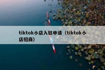 tiktok小店入驻申请（tiktok小店招商）